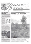 Выпуск №33 (1013)