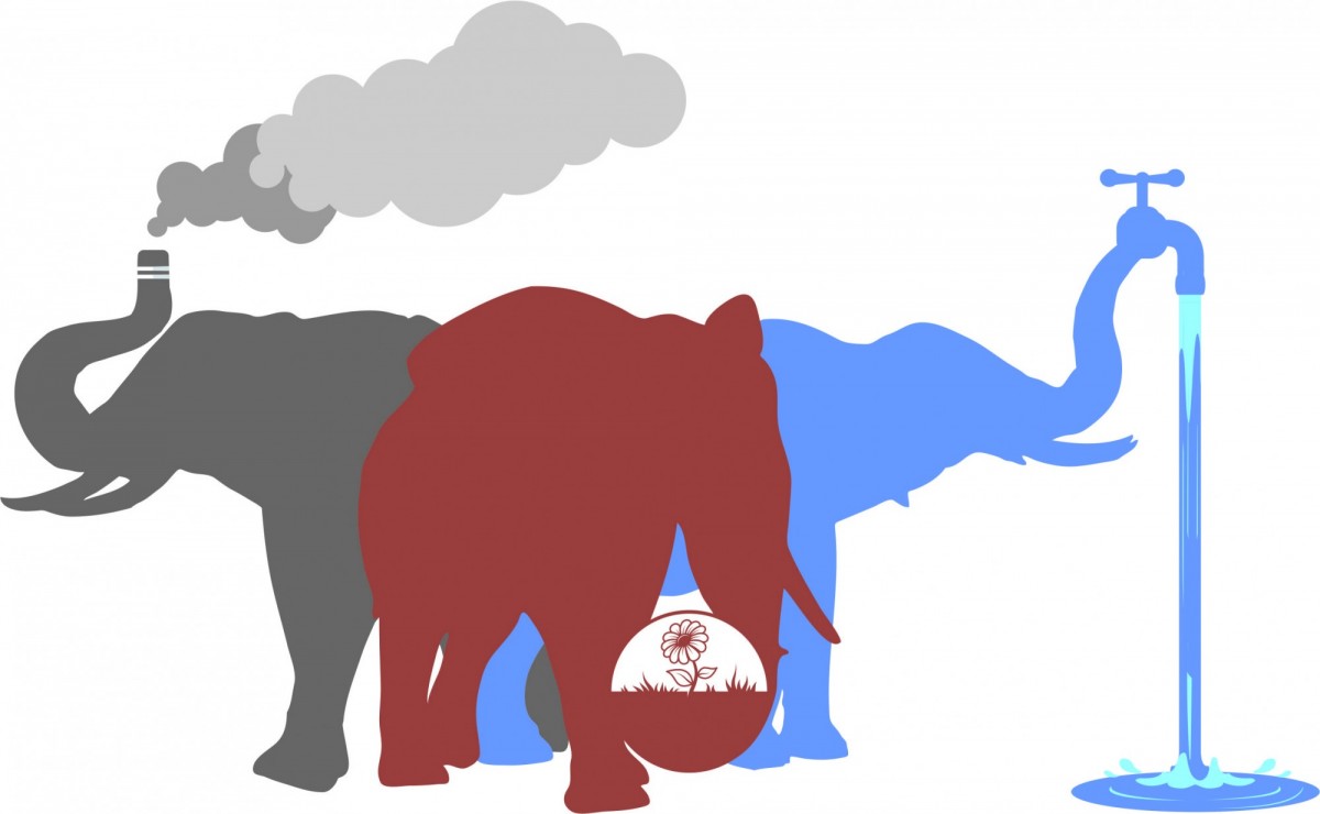 Три слона боровской экологии
