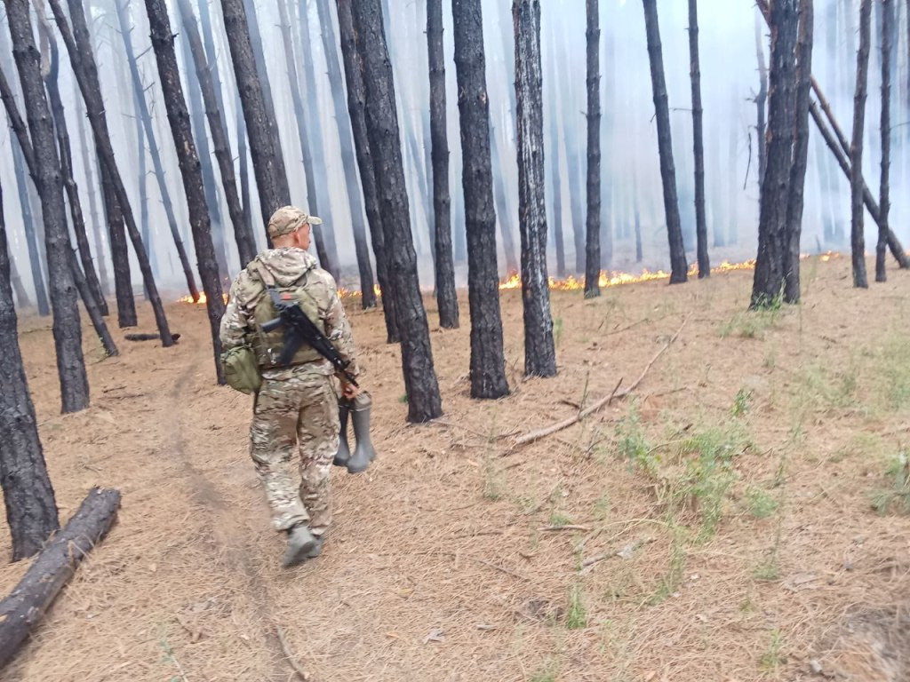 Мне сверху видно все...
