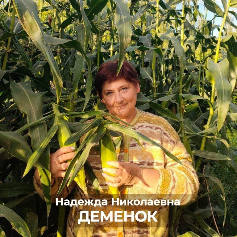 Заведующей боровским отделом развития агропромышленного комплекса Надежде ДЕМЕНОК присвоено звание «Заслуженный работник сельского хозяйства РФ»