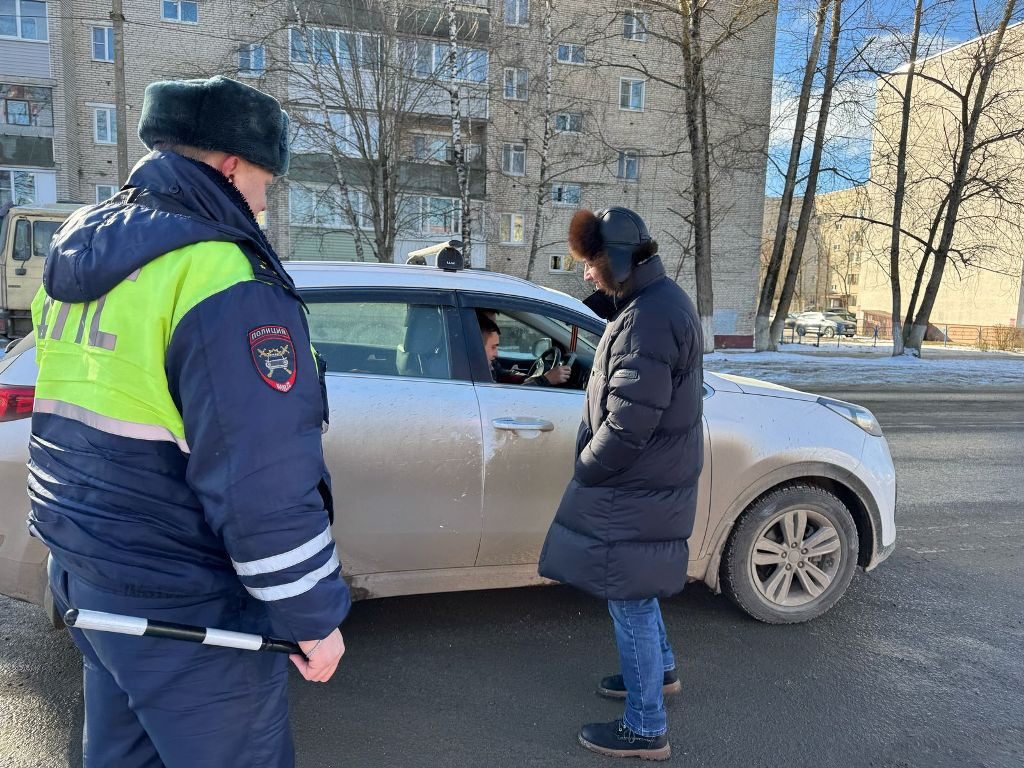 ГАИ проверит всех