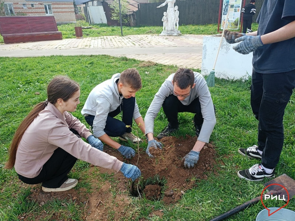 Боровский сквер «Ордена» озеленили