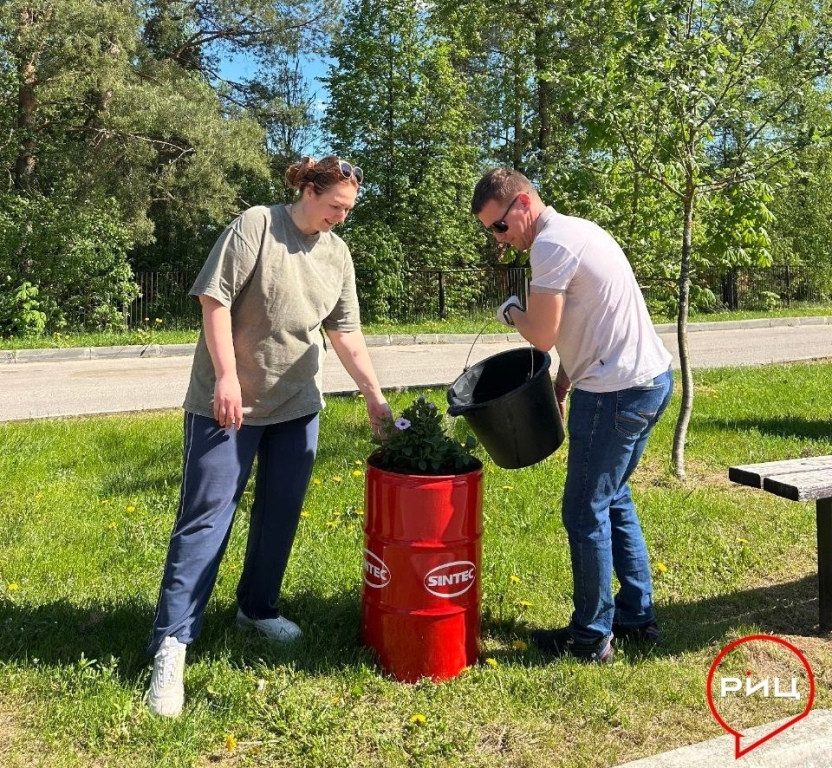 Сотрудники боровской спортивной школы «Звезда» украсили территорию учреждения необычными клумбами с цветами