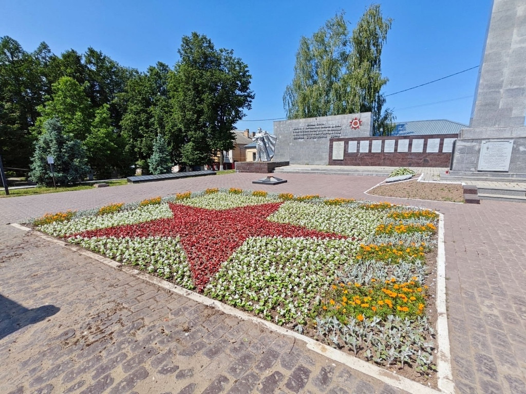 В Боровске «зажглась» живая звезда
