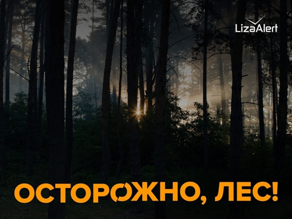 Поисково-спасательный отряд #ЛизаАлерт напоминает: выходя на природу, будьте осторожны