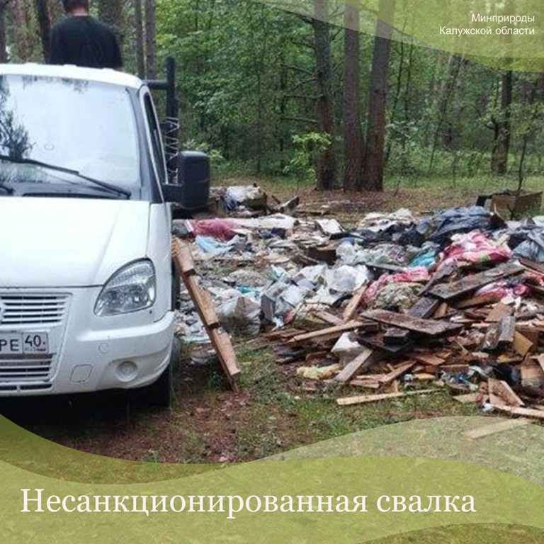К 30 сентября в калужском лесном фонде ликвидируют 103 несанкционированные свалки