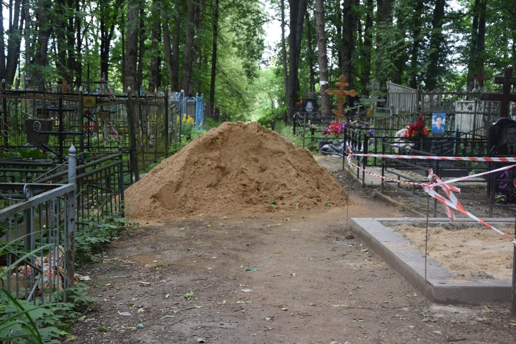 Свобода от совести
