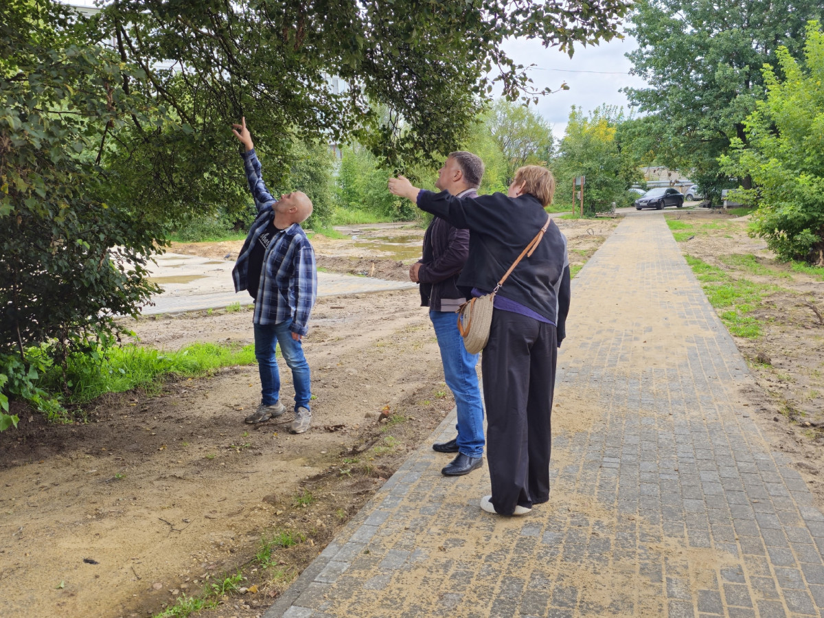 По паркам и тропинкам