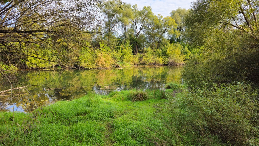 От забвения к возрождению