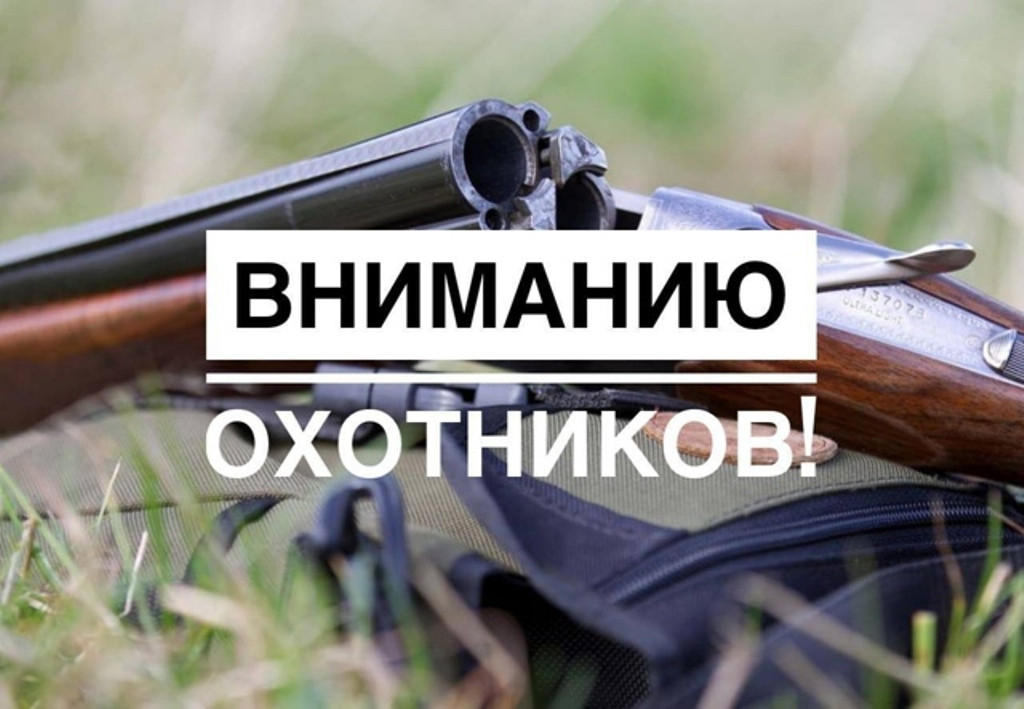 Возобновлена выдача разрешений на добычу охотничьих ресурсов