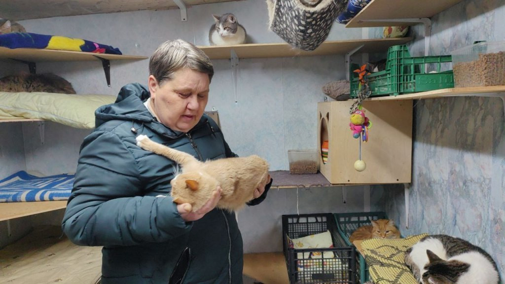 Они меня выбрали