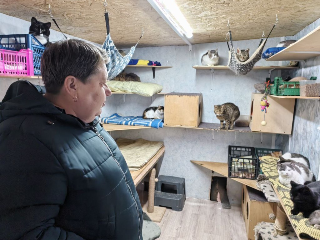 Они меня выбрали