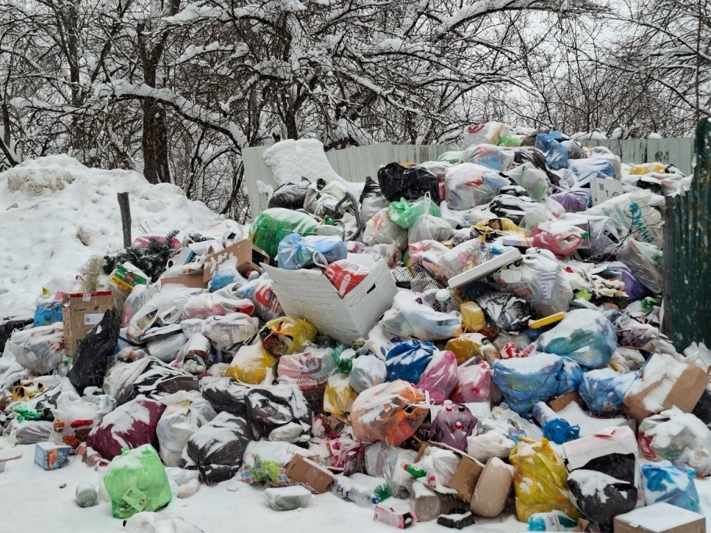 Загляните в наш двор…