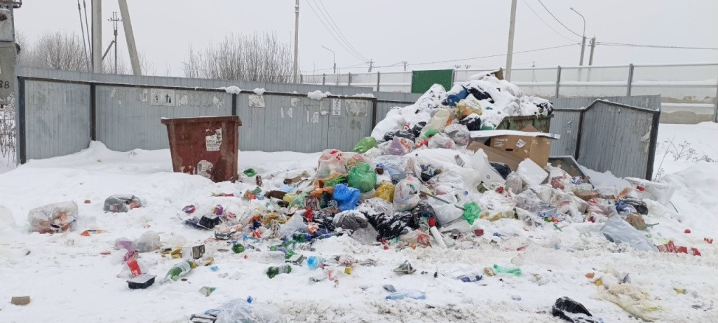 Загляните в наш двор…