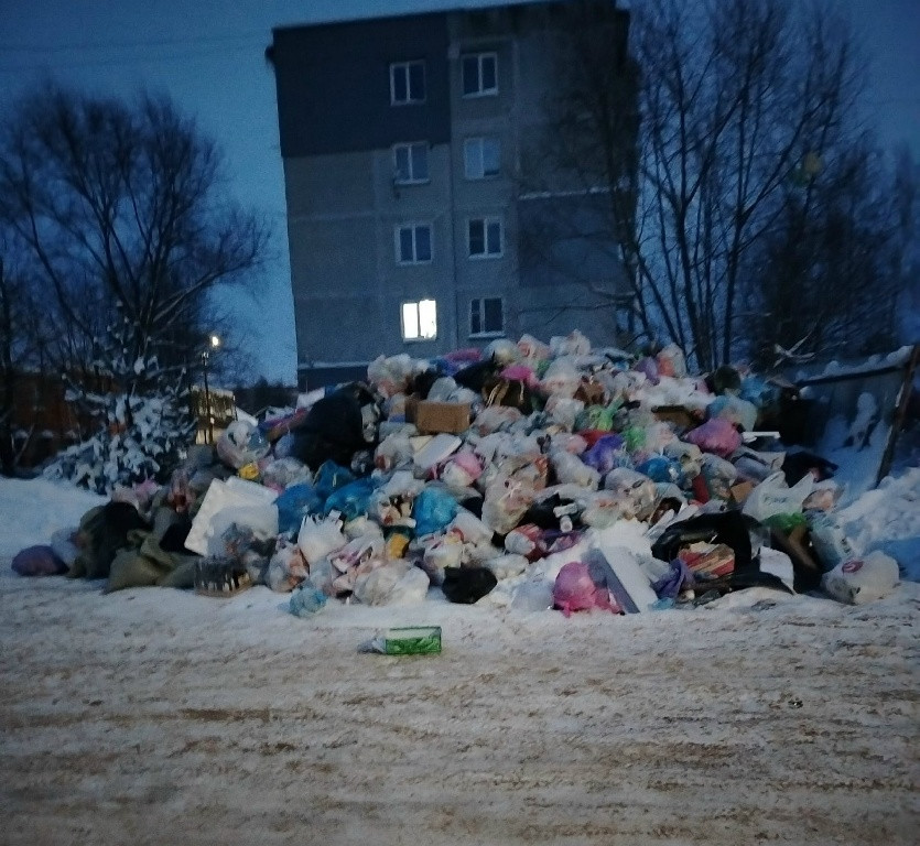 Загляните в наш двор…