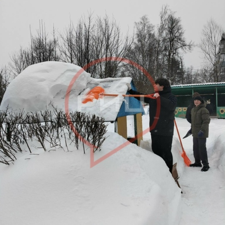 Помогли малышам