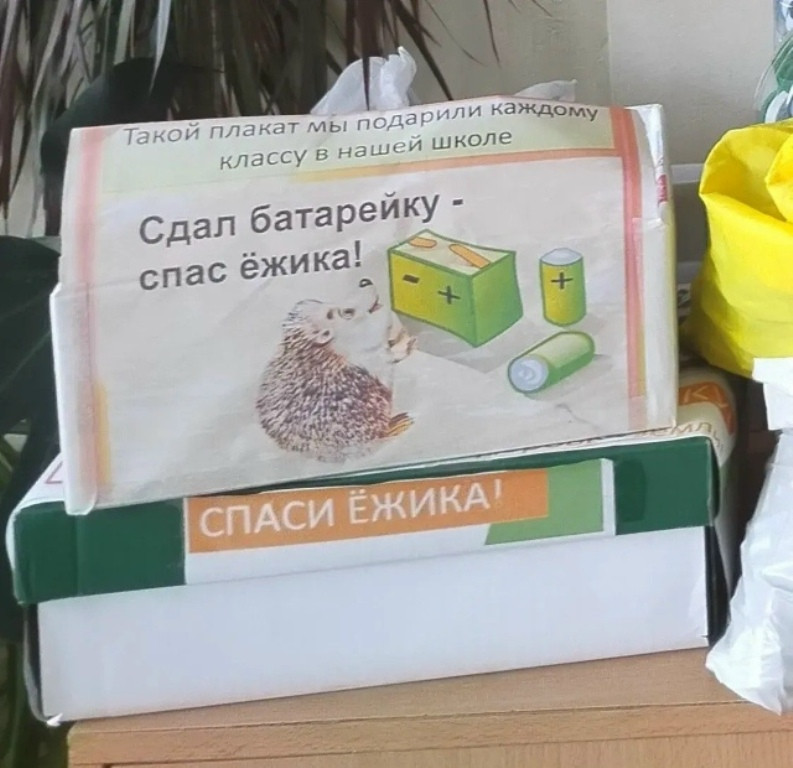 Помощь окружающей среде