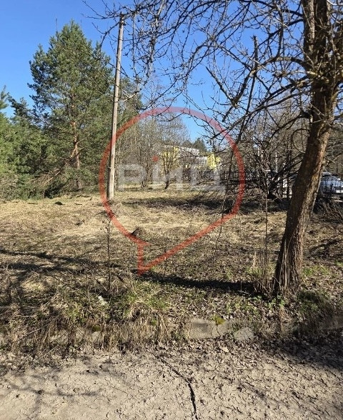 В Боровске начали решать проблему с парковкой у ЦРБ, на нехватку мест давно жалуются жители