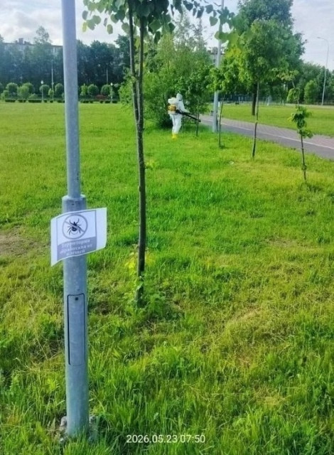 Клещи вымрут в Балабанове!