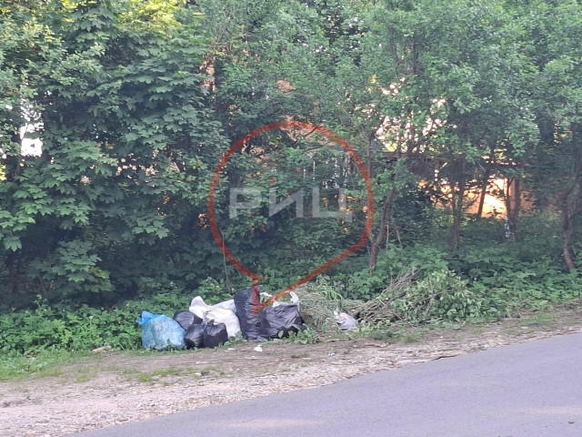 У боровского высоковского кладбища растет свалка мусора