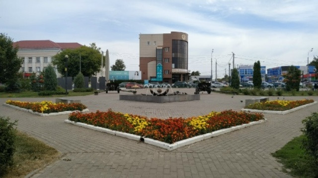 Городские цветы