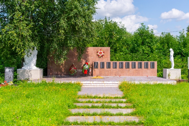Память полей