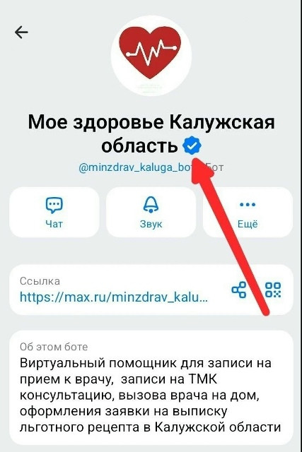 Записаться на приём к врачу через месседжер МАХ? Легко! Поможет вам в этом специальный бот «Моё здоровье»