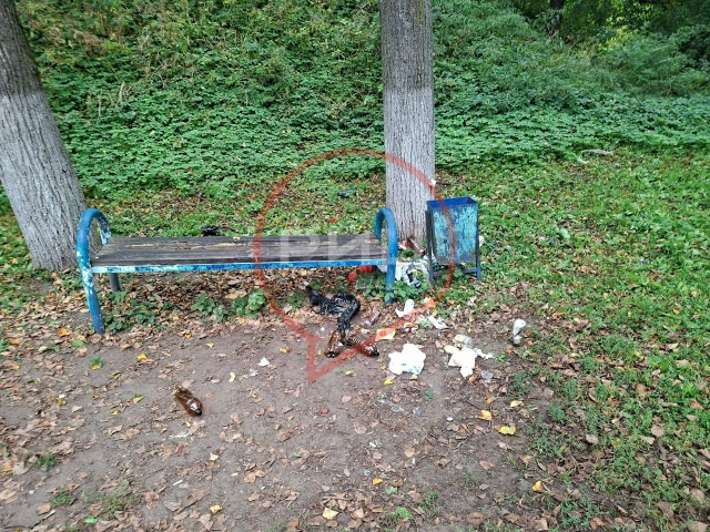 В Боровске отремонтруют детскую площадку в сквере Гагарина