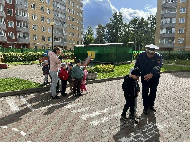 Маленькие пешеходы – большие правила