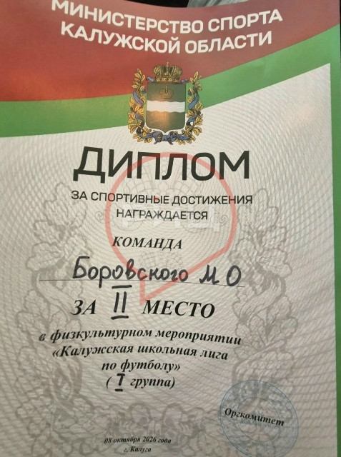 Сборная команда Боровского округа заняла второе место в «Калужской школьной лиге по футболу»