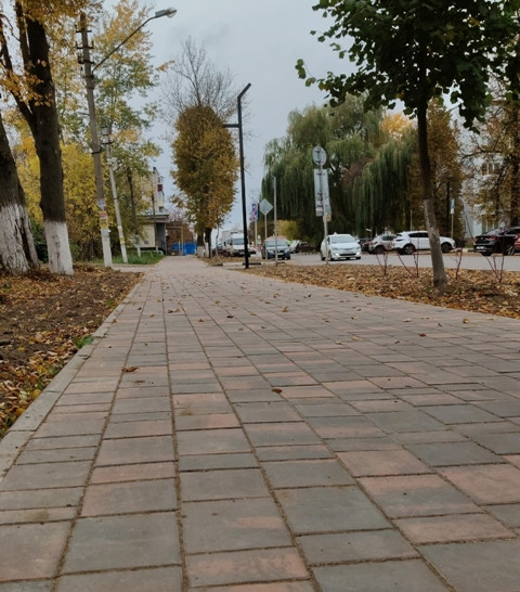 Дворы по осени считают