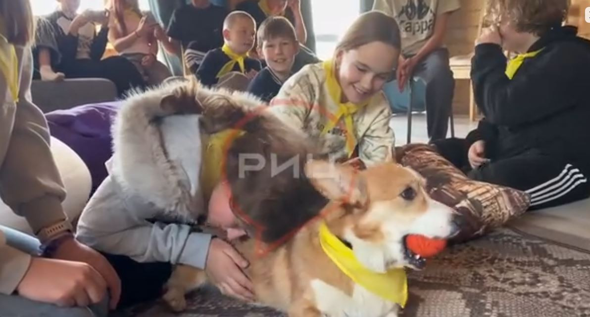 Игры на свежем воздухе, катание на лошадях, мастер-классы, рыбалка и вечерняя дискотека