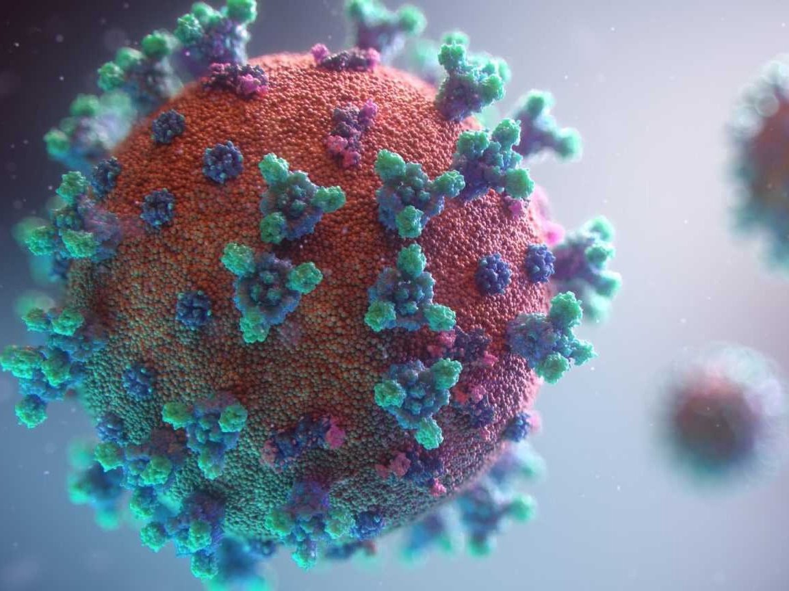 Новый штамм коронавируса «Стелс-омикрон» может обрушиться на Калужскую область уже в конце апреля
