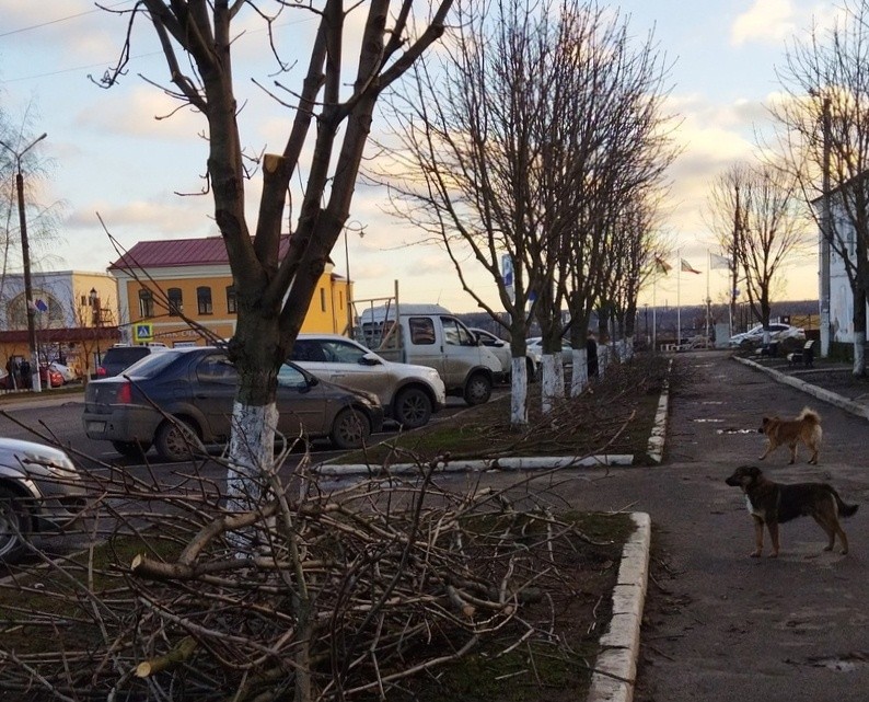 В Боровске привели в порядок каштановую аллею в центре города