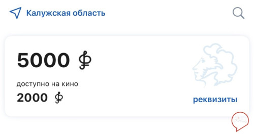 Баланс Пушкинских карт обновлен и готов конвертироваться в аплодисменты жителей Боровского района