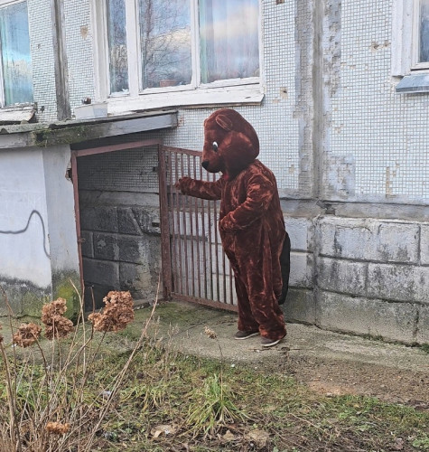 Трубы, деньги, два ручья