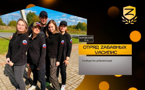 Началось народное голосование в рамках региональной премии "Приzнание". В числе номинантов - Отряд Zaбавных Vасилис из Боровского района