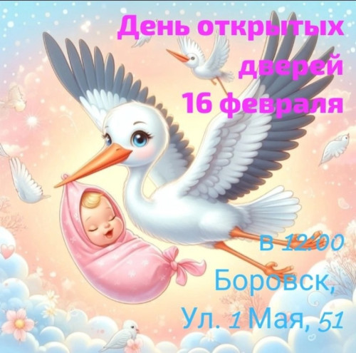 В гости к аисту