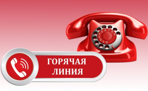 Районная прокуратура организовала горячую линию