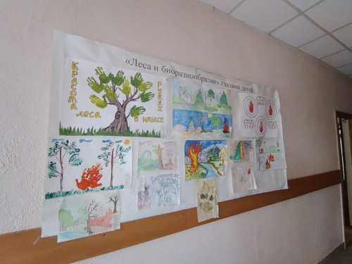 Хранители леса