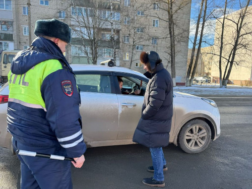 ГАИ проверит всех