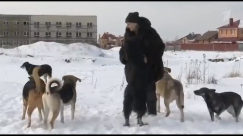 Благими намерениями