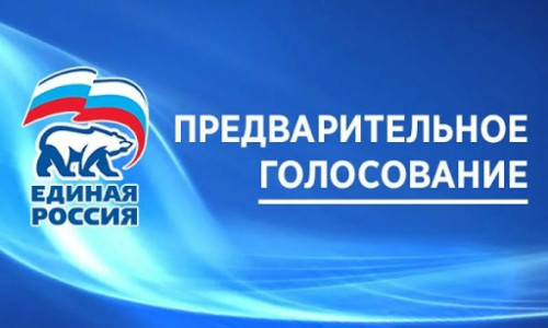 В Калужской области завершилось электронное предварительное голосование за кандидатов в депутаты Законодательного Собрания региона