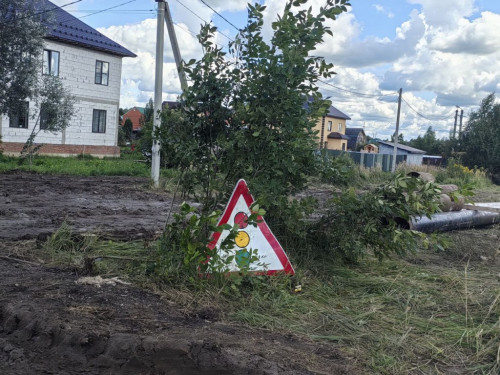 Почему мы не птицы?!