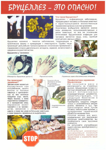 Профилактика распространения бруцеллеза