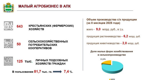 С помощью господдержки калужские фермеры к 2030 году смогут кратно увеличить производство плодов, ягод, картофеля и овощей
