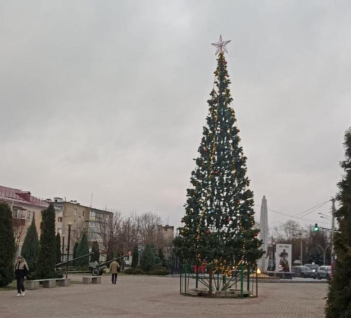 Здравствуй, елка,  Новый год