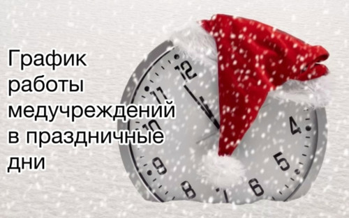 Глава регионального Минздрава Анна ЧЕРНОВА рассказала о графике работы медучреждений во время новогодних каникул
