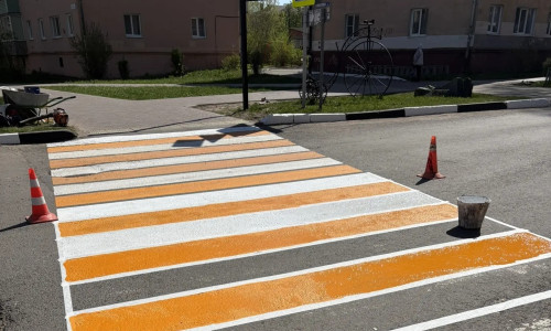 Жёлто-белые зебры