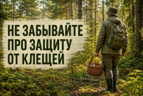 В Боровском округе продолжается грибной сезон
